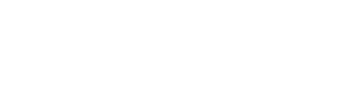 29_arms_website_home_next_01